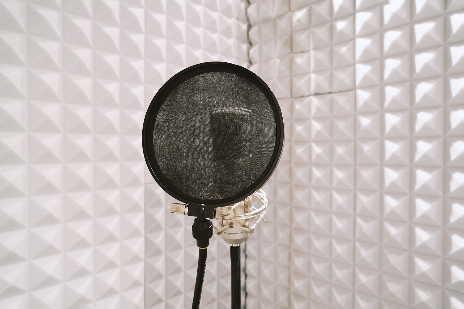 Voice Over or Interview